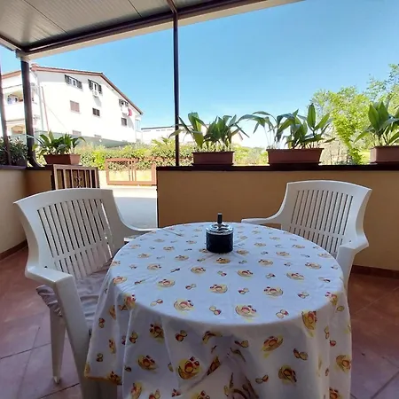 Mara Apartament